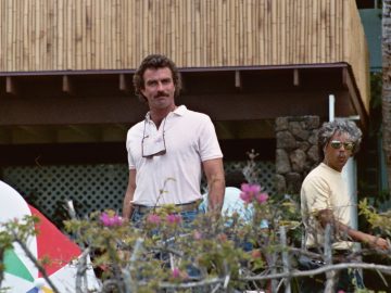 instrumental tv theme songs