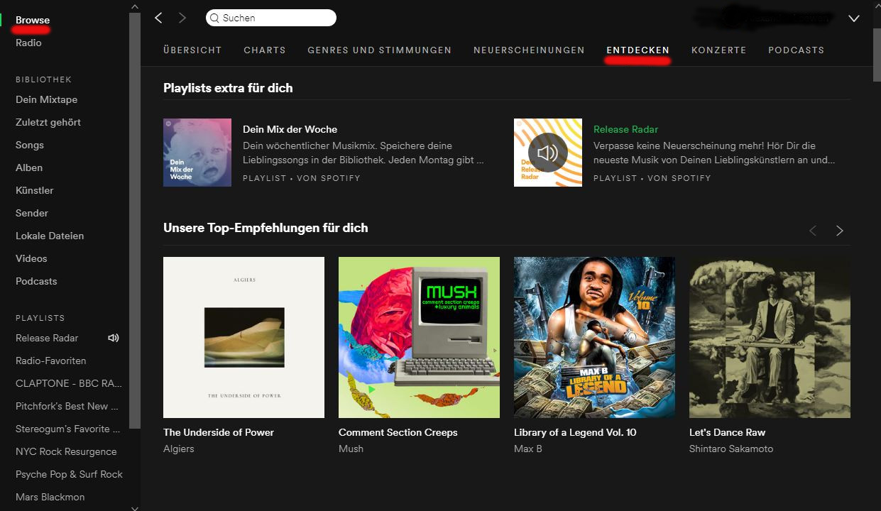 Recommendations in the Discover section of Spotify