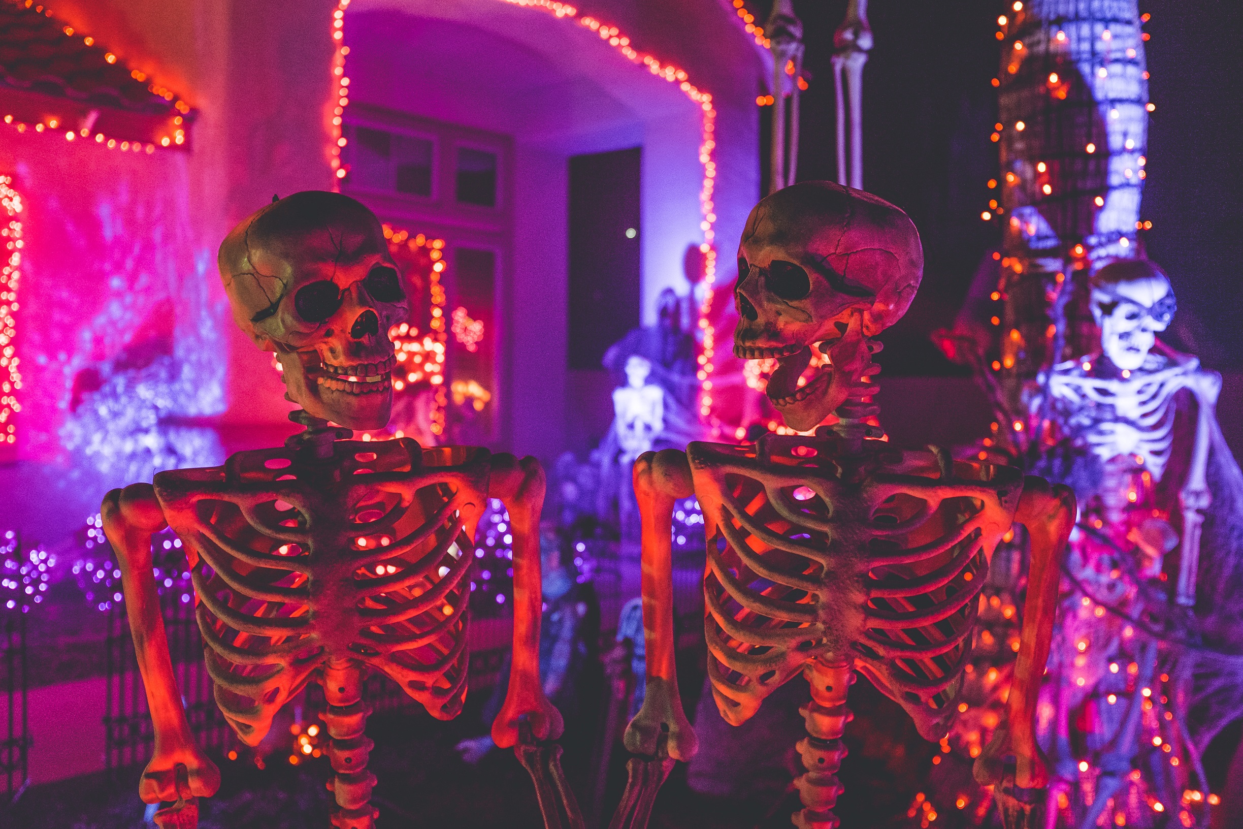 Halloween party skeleton decoration.